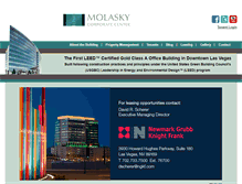 Tablet Screenshot of molaskycenter.com